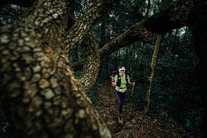 BIB: 
                            <button type="button" onclick="openModal(25697261)" class="btn btn-primary btn-sm float-right btn-popup" data-toggle="modal" data-target=".modal-high-quality">
                        <i class="fas fa-shopping-cart"></i> Add to Cart
                    </button>
                                            <button type="button" onclick="isThisMe(25697261, true)" class="btn btn-success btn-sm float-right btn-popup btn-isme hidden" data-toggle="tooltip" data-placement="bottom" title="นี่คือรูปของคุณใช่ไหม คลิกที่นี่เพื่อเอาเข้าอัลบั้ม">
                        <i class="fas fa-plus"></i> Add to album
                    </button>
                    <button type="button" onclick="isThisMe(25697261, false)" class="btn btn-warning btn-sm float-right btn-popup btn-isnotme hidden">
                        <i class="fas fa-ban"></i> Remove from album
                    </button>